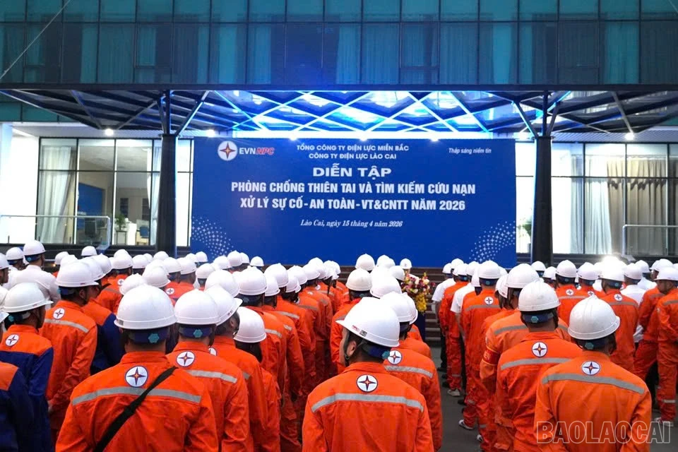 baolaocai-br_z7727850584003-596cf2d5ea1a736293d2c7453eb35f19.jpg