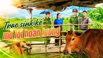 Trao sinh kế, mở lối hoàn lương