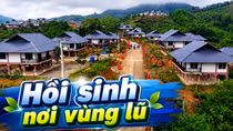 Hồi sinh nơi vùng lũ