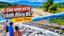 Cần sớm có giải pháp xử lý “cánh đồng đá” Trịnh Tường 