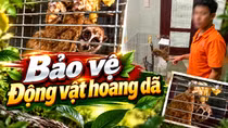 Đừng để thiếu hiểu biết pháp luật dẫn tới án hình sự