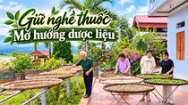 Giữ nghề thuốc, mở hướng dược liệu