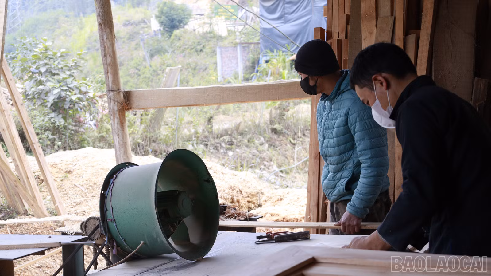 baolaocai-br_mg-0754.jpg