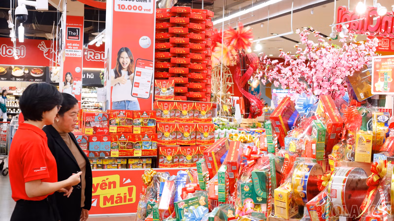 baolaocai-br_mg-8053.jpg