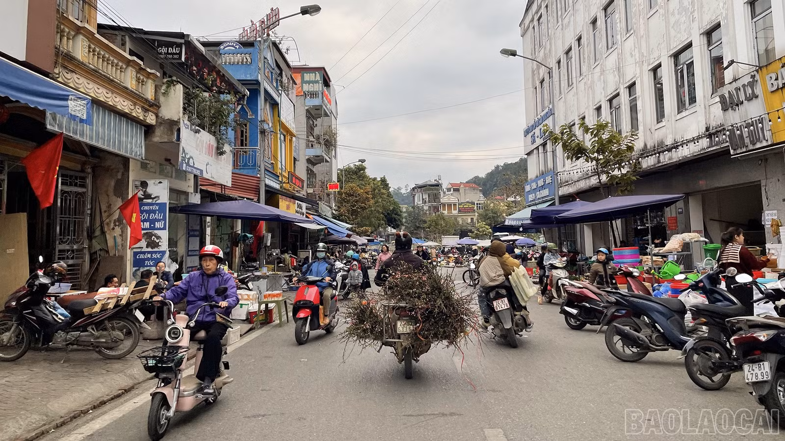 baolaocai-br_img-5974.jpg