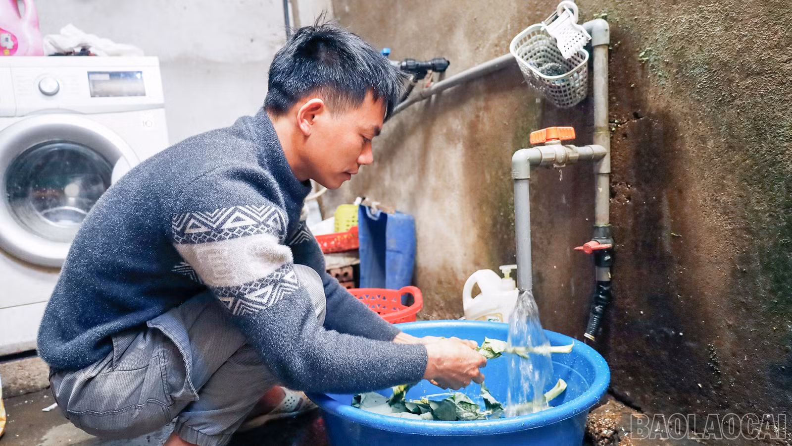 baolaocai-br_mg-8624.jpg