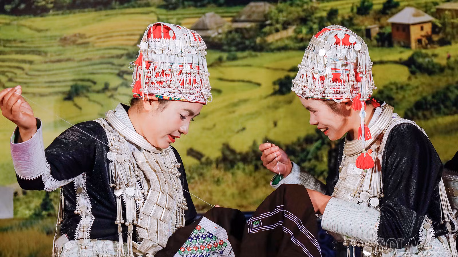 baolaocai-br_mg-1775.jpg