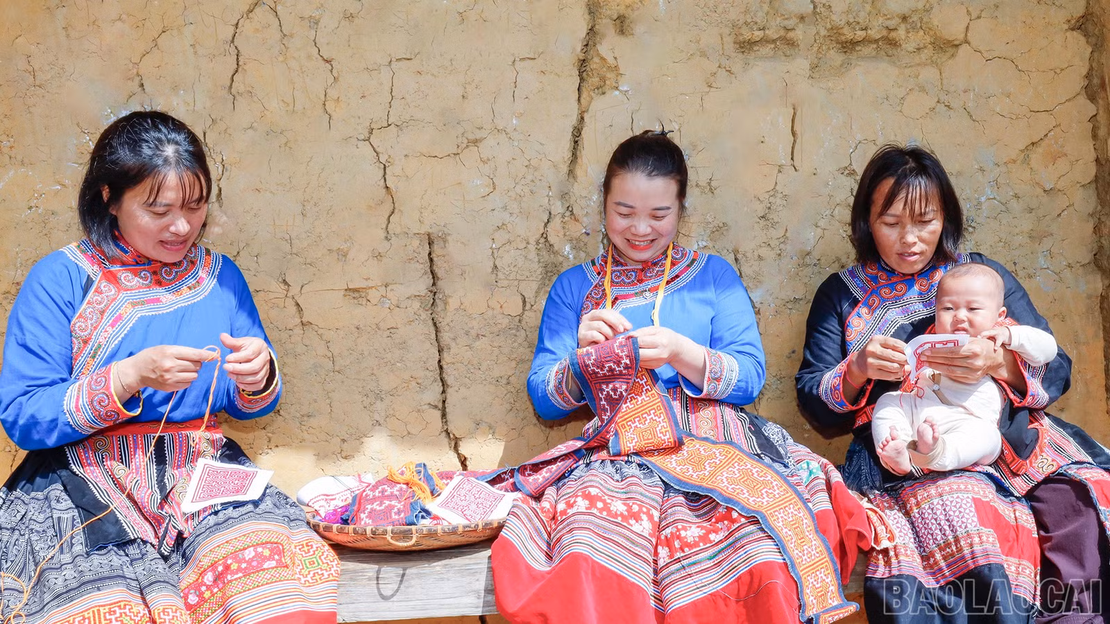 baolaocai-br_mg-2831.jpg