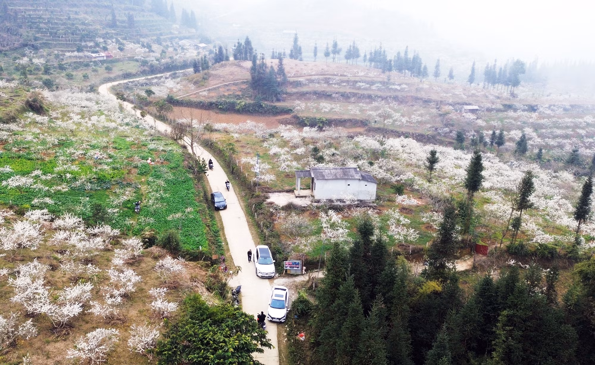 dji-0345.jpg