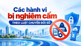 Các hành vi bị nghiêm cấm theo Luật Chuyển đổi số
