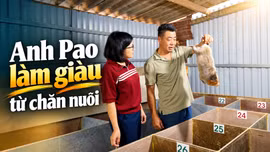 Anh Pao làm giàu từ chăn nuôi