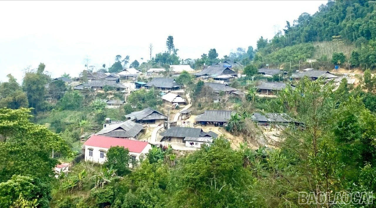 baolaocai-br-z7533999108359-a3ba0123df1579492543c86cbc4d278e-1155.jpg