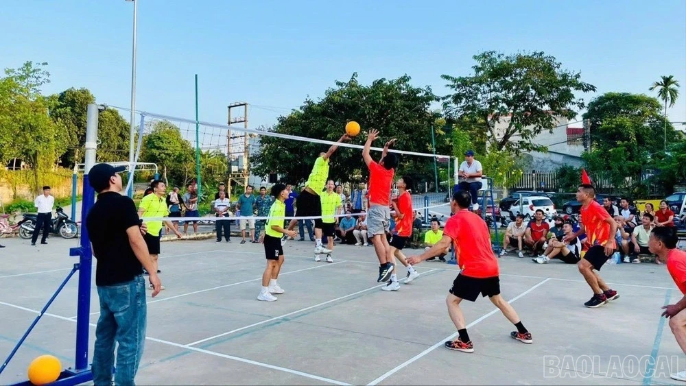 baolaocai-br_z7602609350551-8a06d8ce8179b96cef059895c8b07ec9.jpg