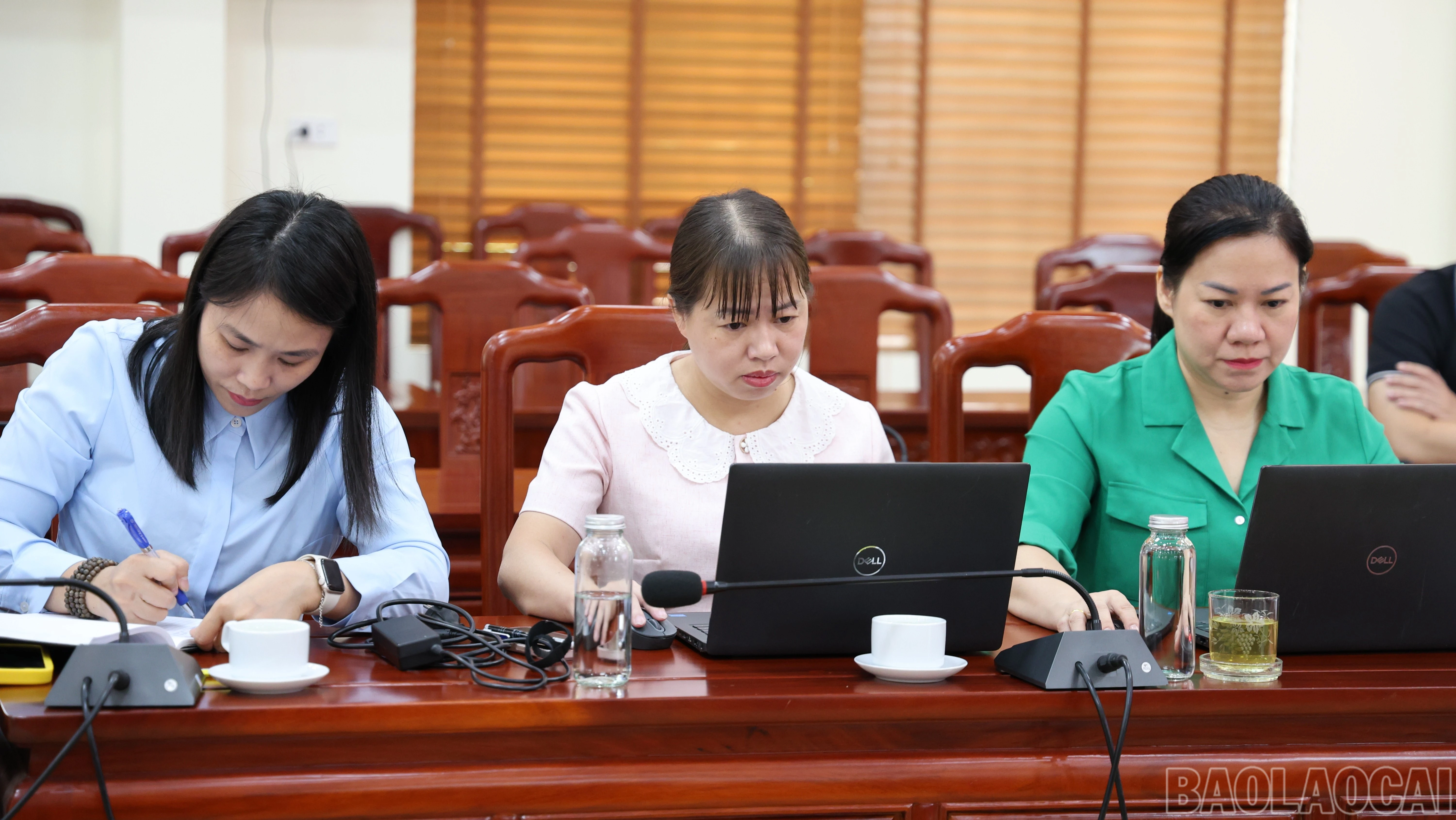 baolaocai-br_img-4160-83.jpg