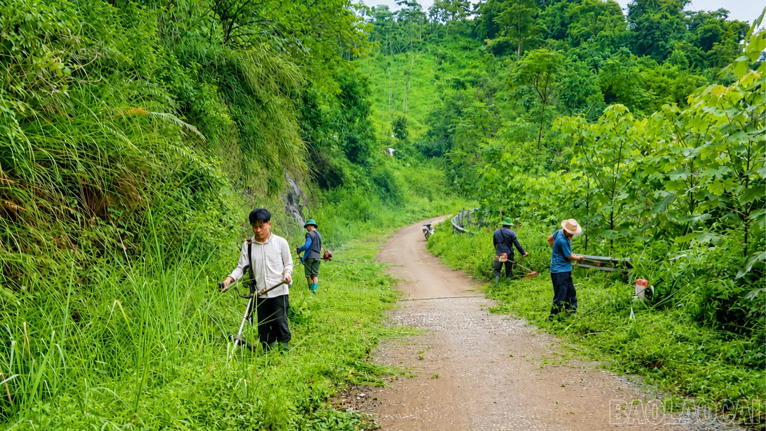 baolaocai-br_chatgpt-image-16-35-04-20-thg-7-2026-2324.png