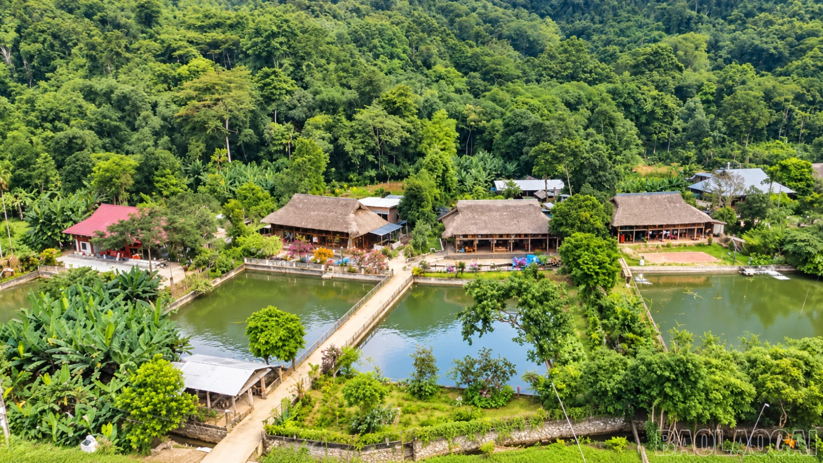 baolaocai-br_chatgpt-image-14-55-26-30-thg.png