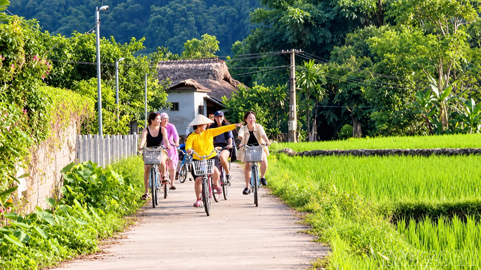 baolaocai-br_chatgpt-image-14-50-51-30-thg.png