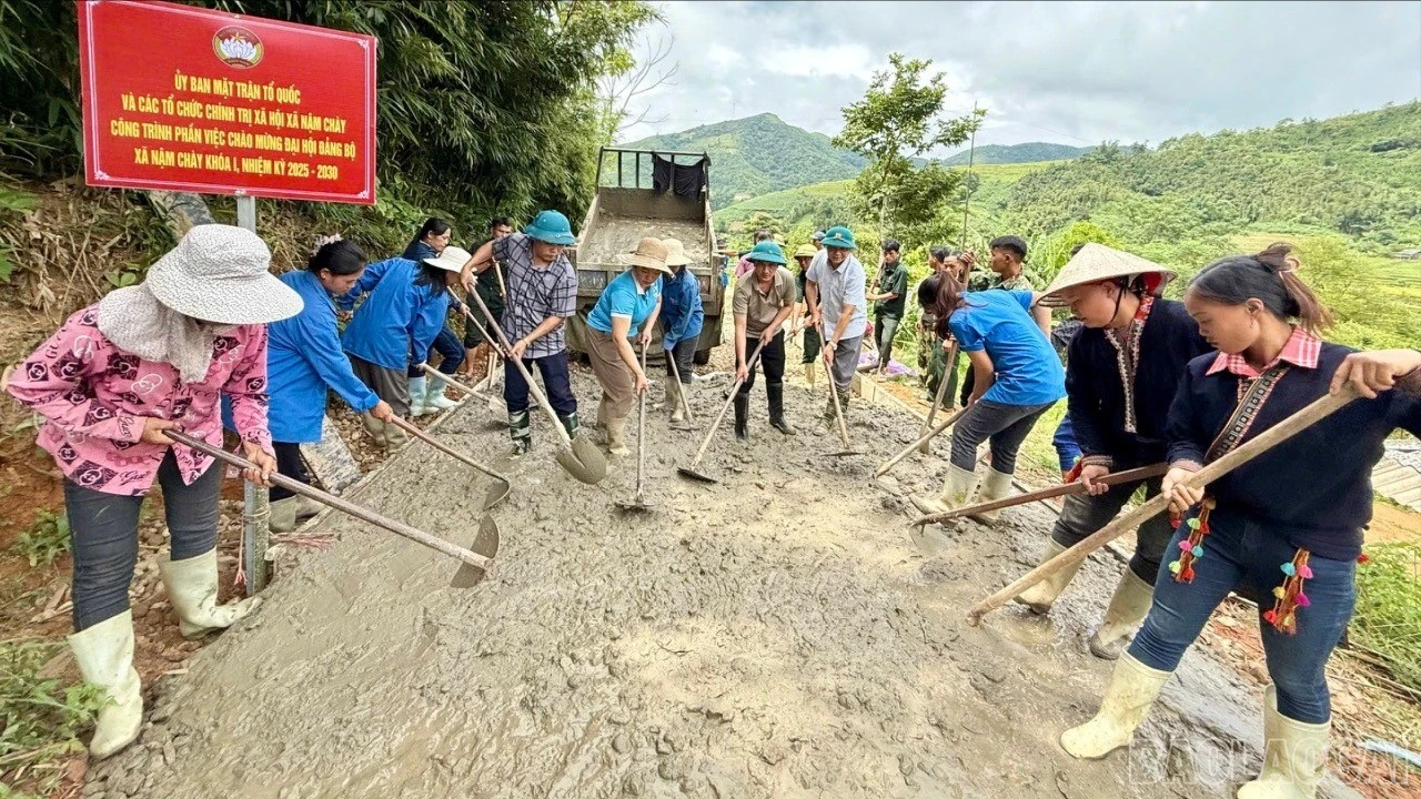 baolaocai-br_z7068535201654-10021fd2a8c99cf8e795d2899fc22552.jpg