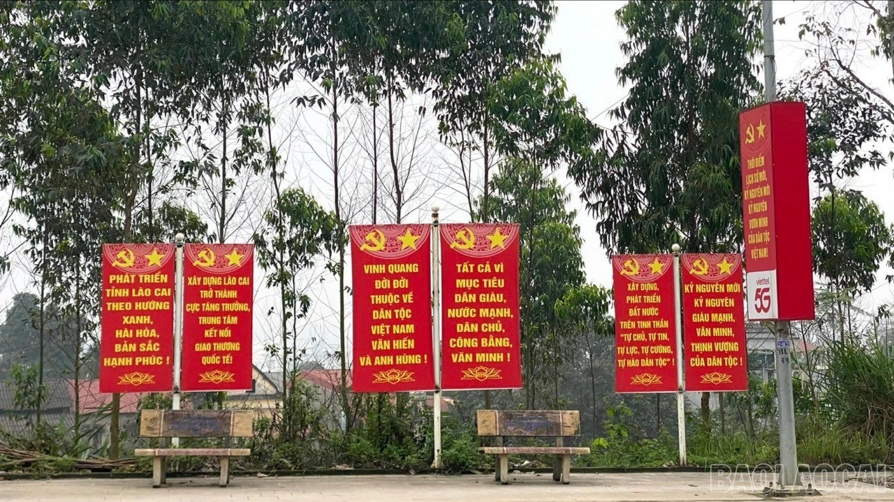 baolaocai-br_z7569991017244-3b1b7443a64496bc4068ac845e572ef1-429.jpg