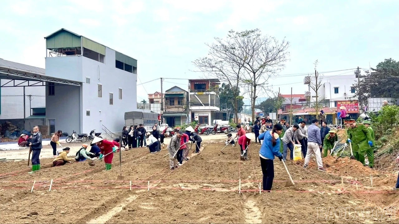 baolaocai-br_z7497094688171-9cecf0875302ad887c23c6bd156deab8-2605.jpg