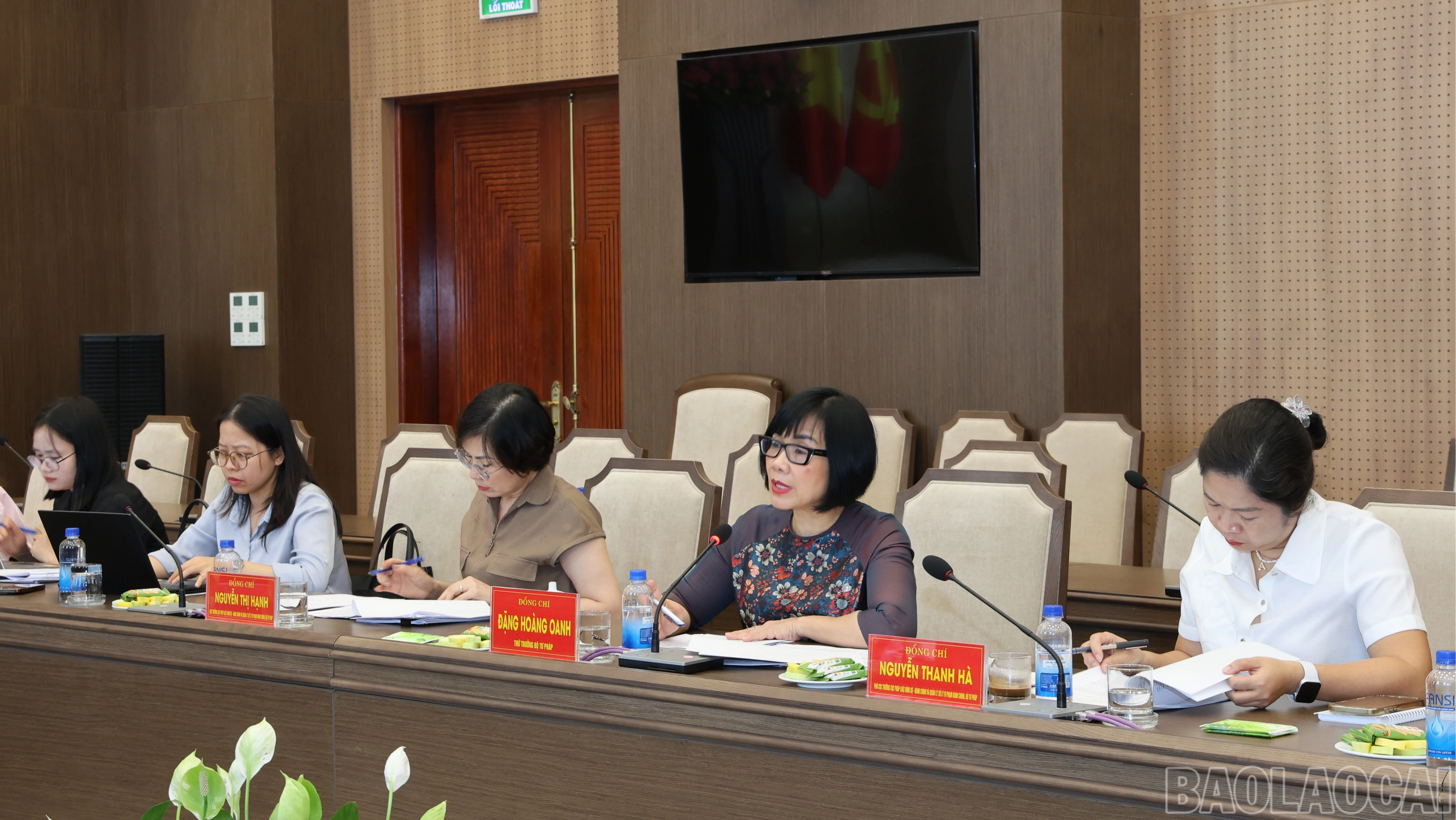 baolaocai-br_xinh-1516.jpg