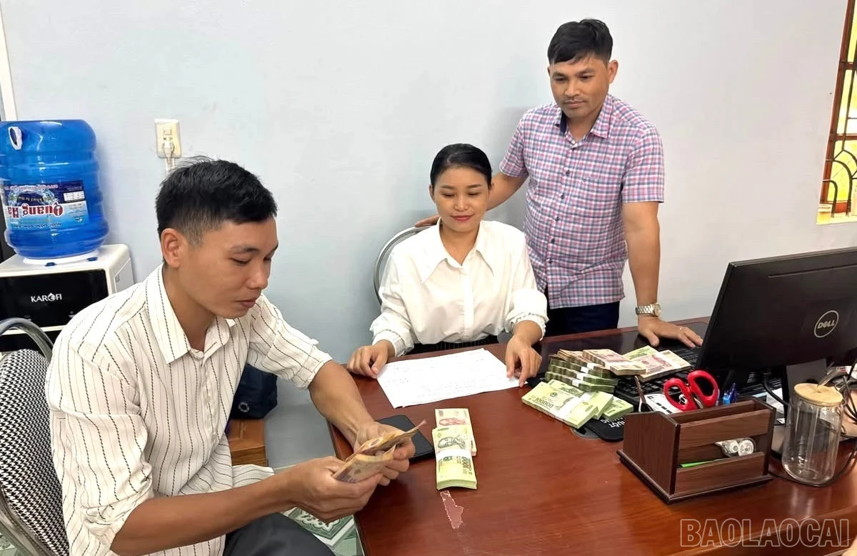 baolaocai-br_1789529898920-1483360936646713779-6588964504697867094-aaefeca152a55692418f72a48e41fc89-3421.jpg
