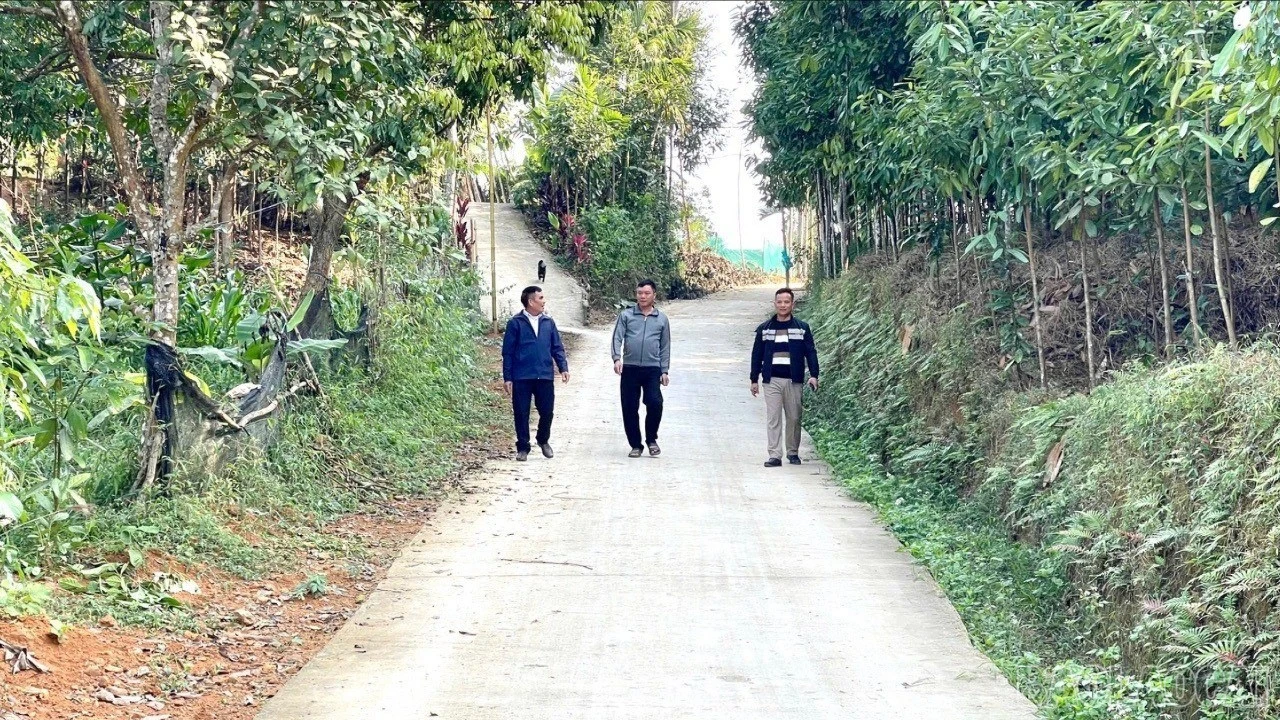 baolaocai-br_z7565941828919-259b660ebd1847134131356a67bd1de2-3229.jpg