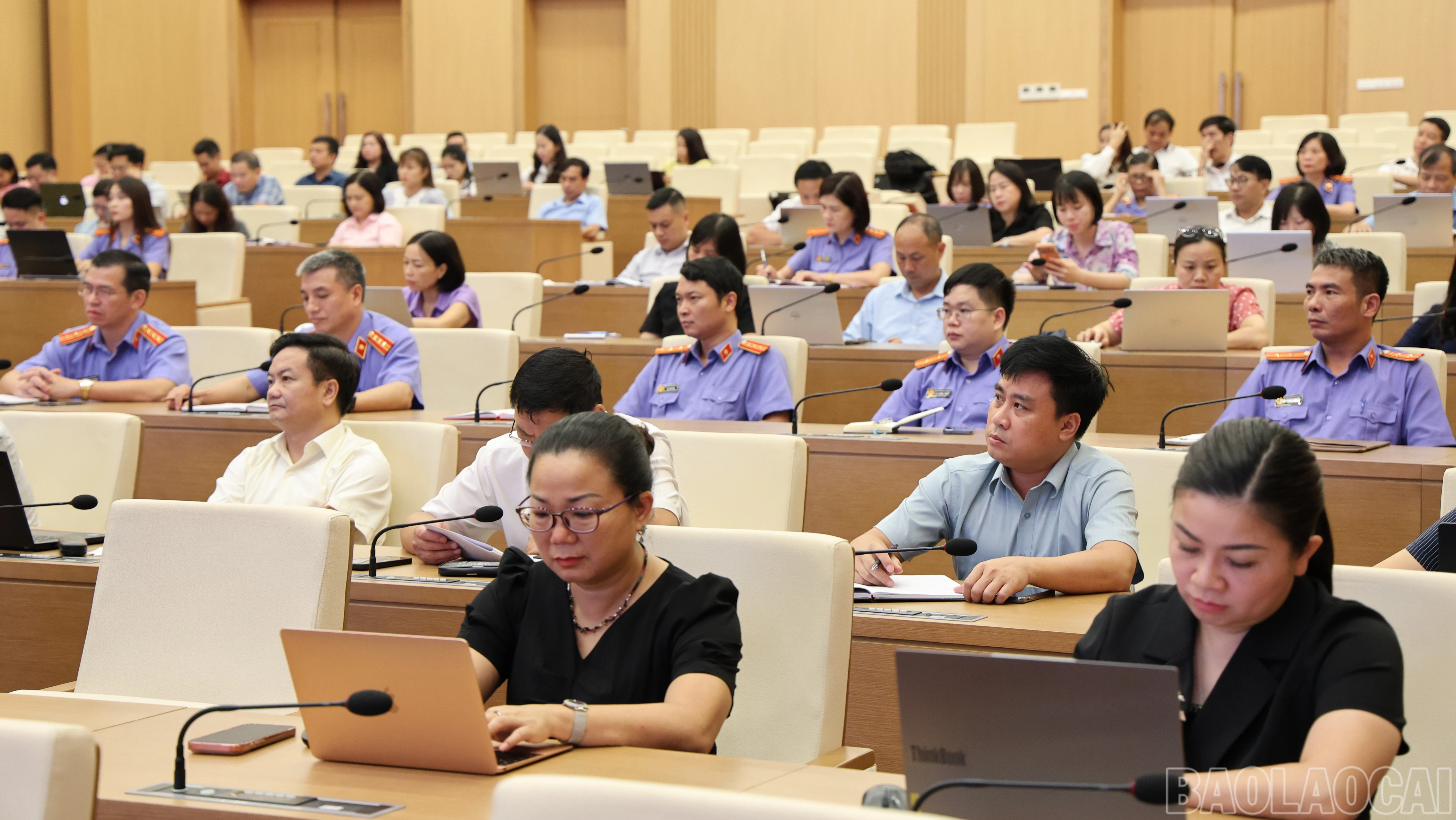 baolaocai-br_img-4296-3297.jpg
