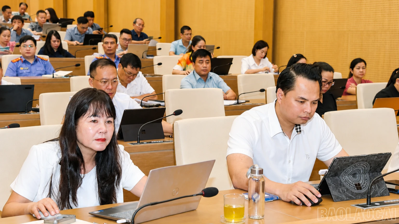 baolaocai-br_chatgpt-image-09-19-16-25-thg-8-2026-2449.png