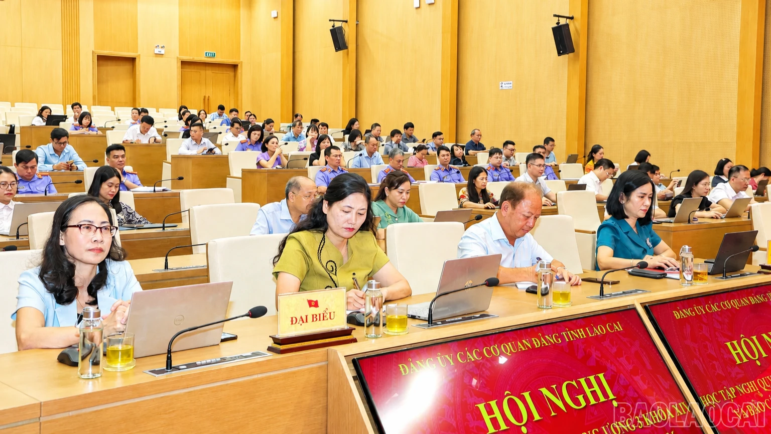 baolaocai-br_8ed3b872-a387-405f-8fc1-9588578ca613-9089.png