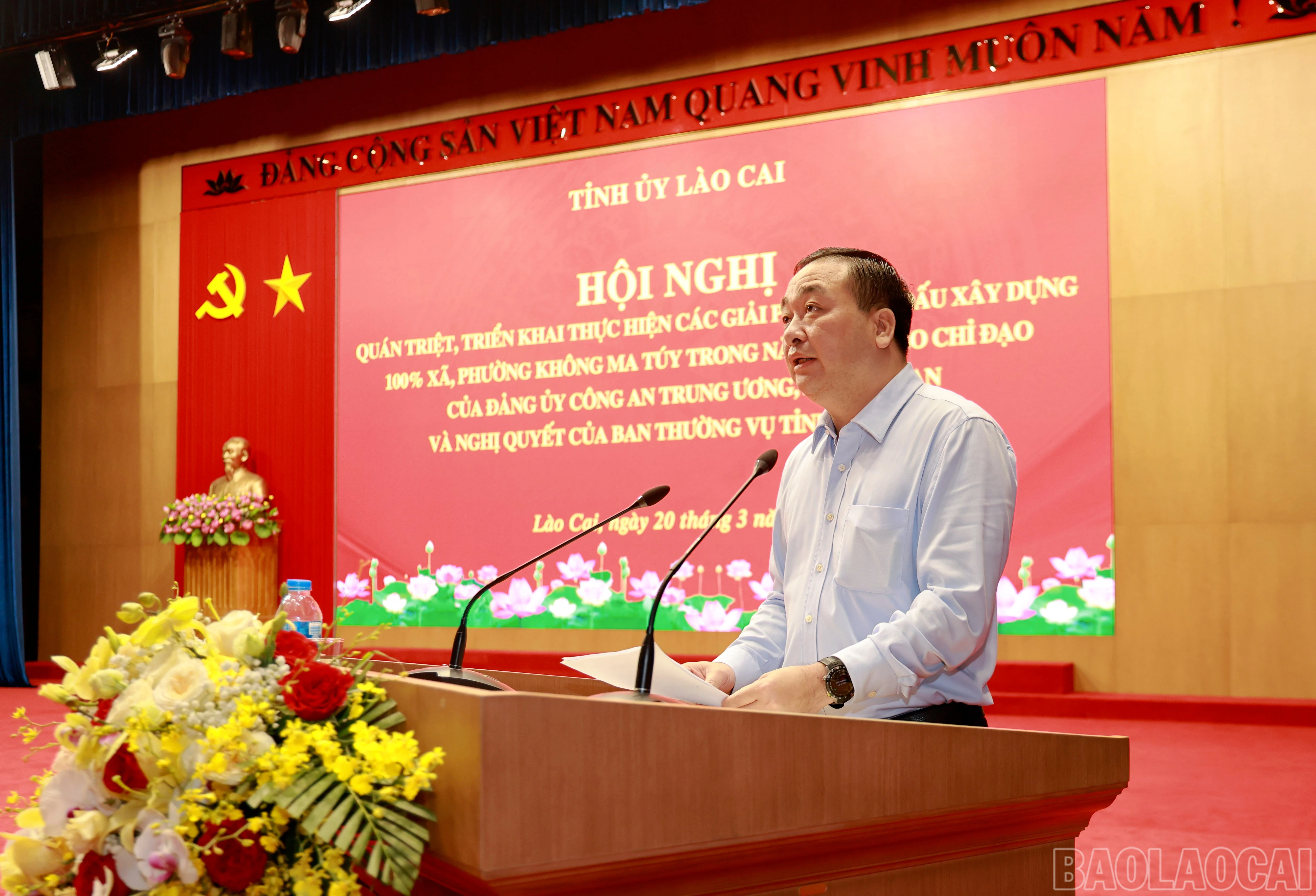baolaocai-br_060a8713.jpg