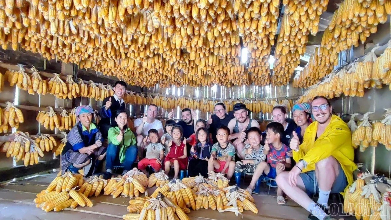 baolaocai-br_z7374685116075-316499e61bbc12a0be0800fe4710c285-7894.jpg