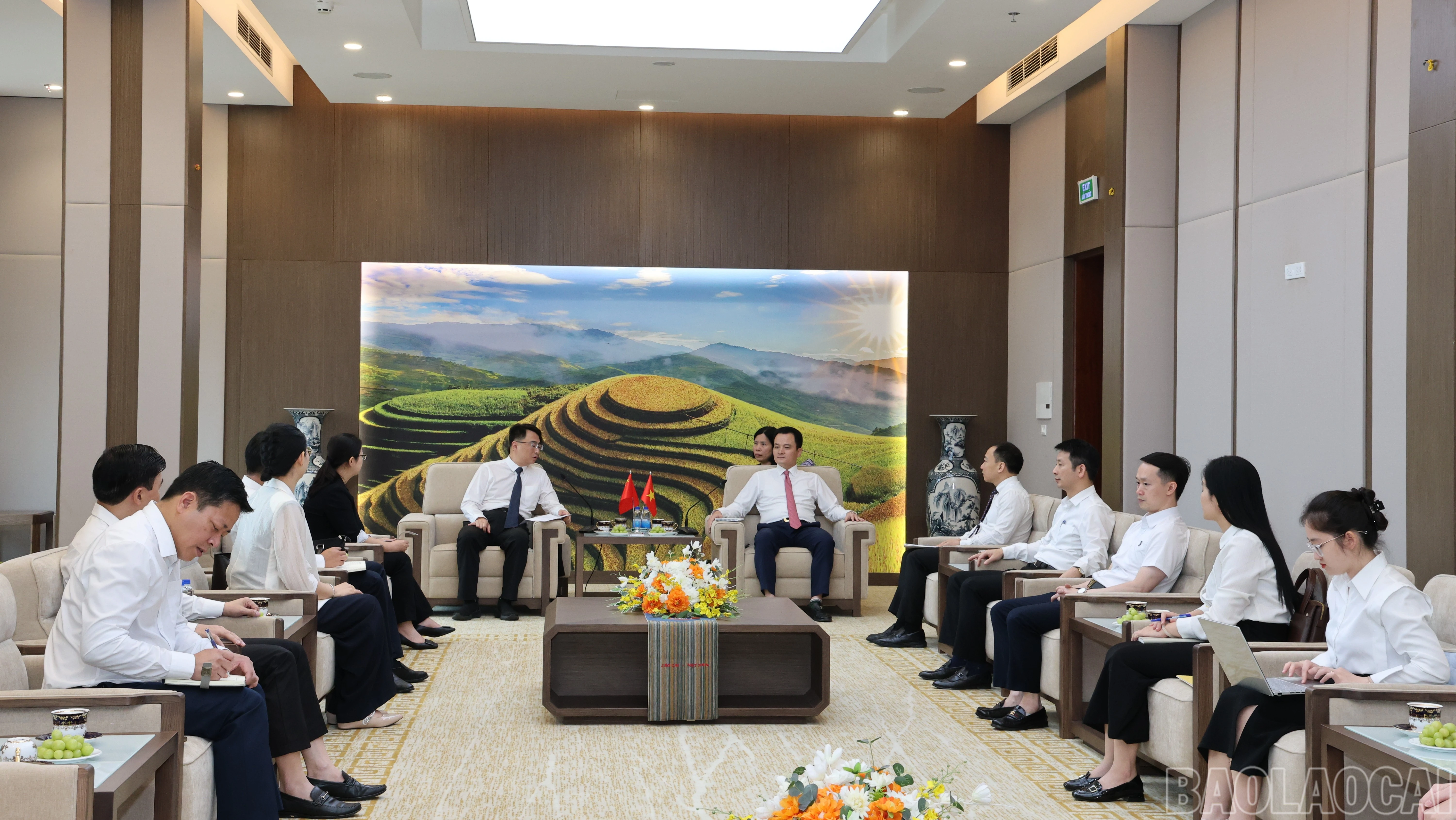 baolaocai-br_img-1679-3064.jpg