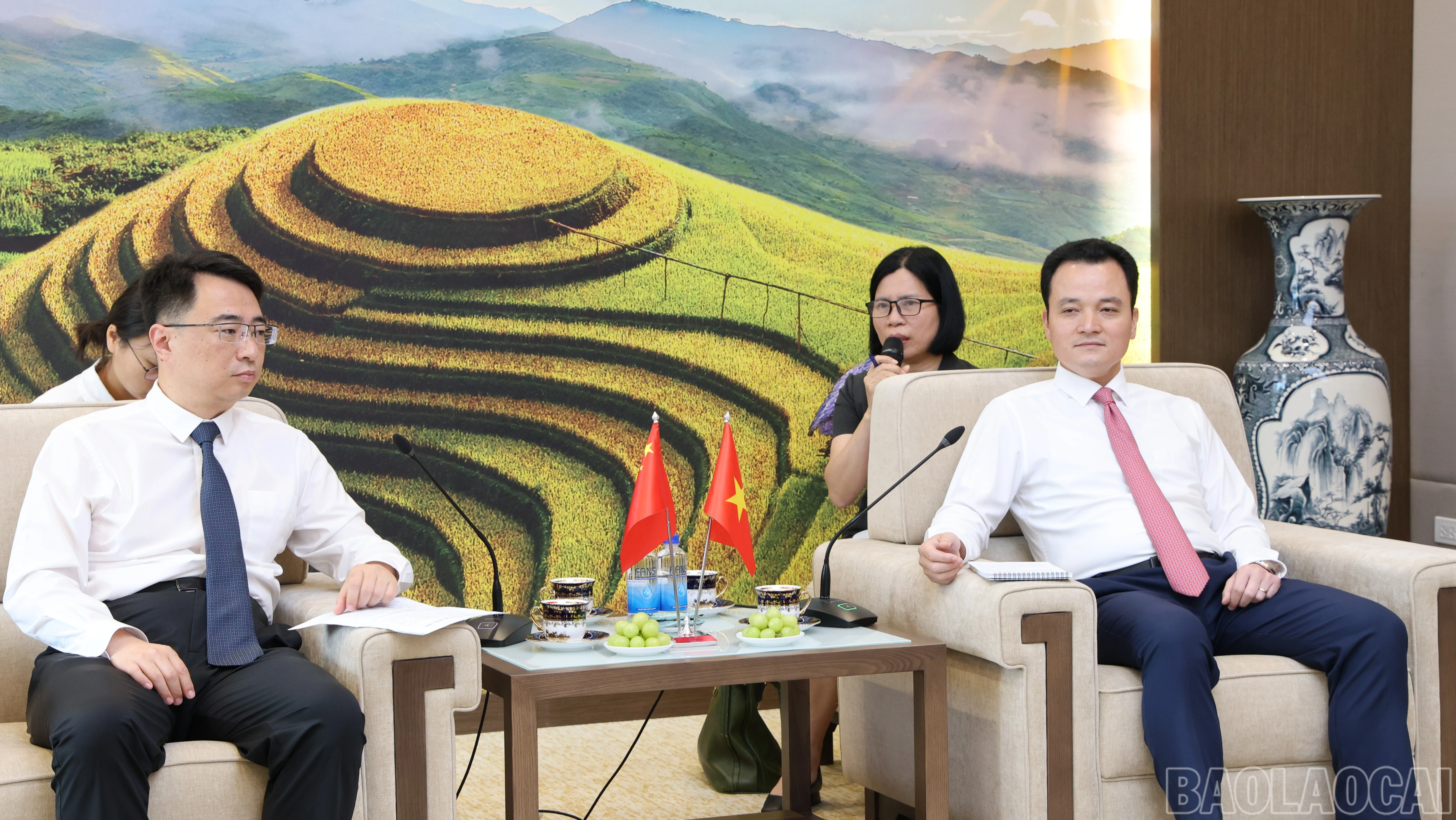 baolaocai-br_img-1705-6282.jpg