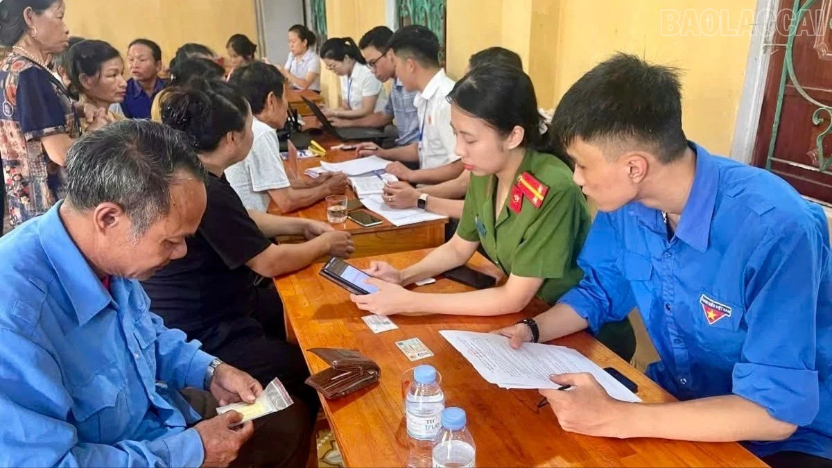 baolaocai-tr_z7385139160675-1801ee38c4e5993d0b25fc8c7168350d-50.jpg