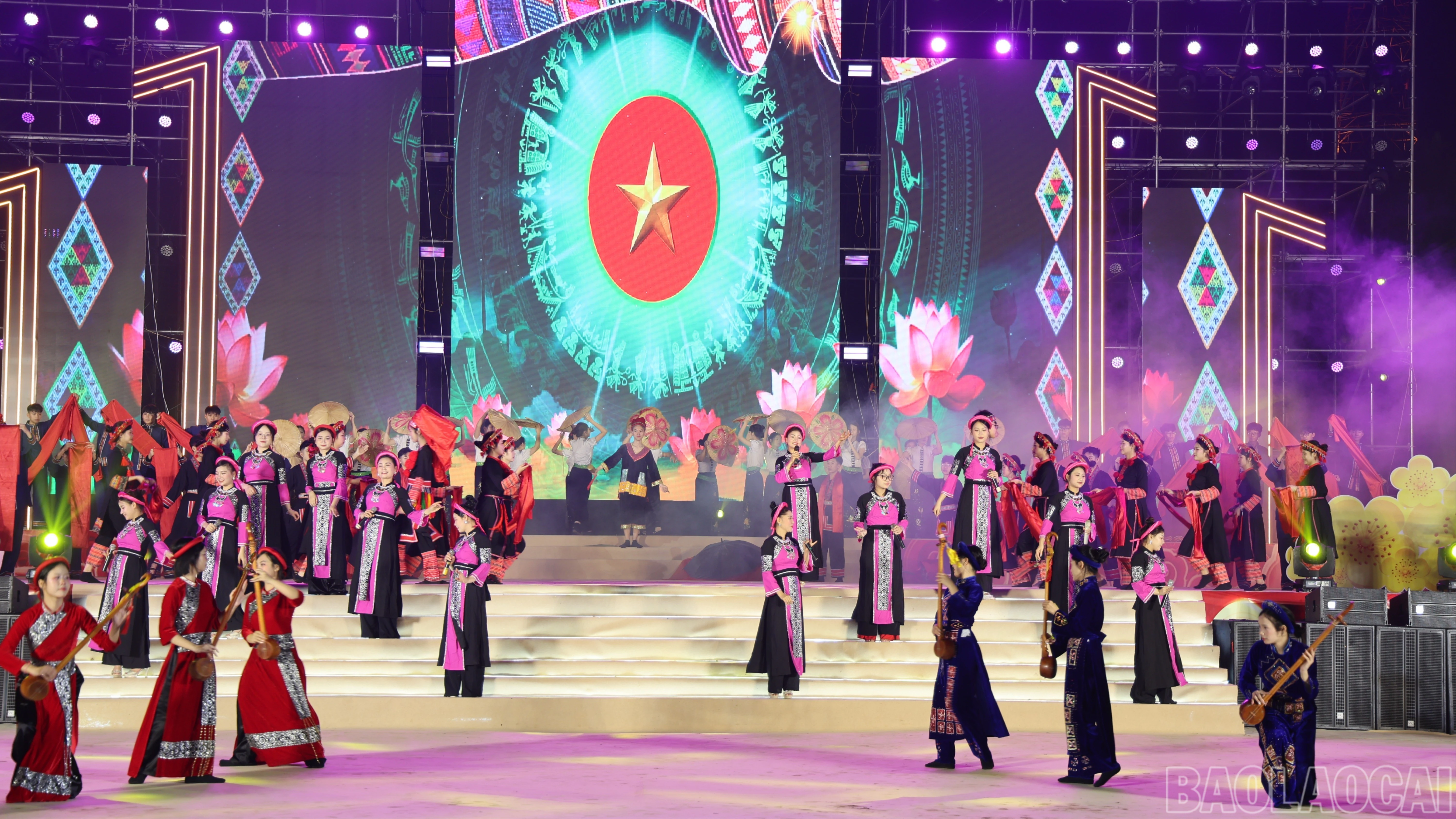 baolaocai-br_img-0398-9008.jpg