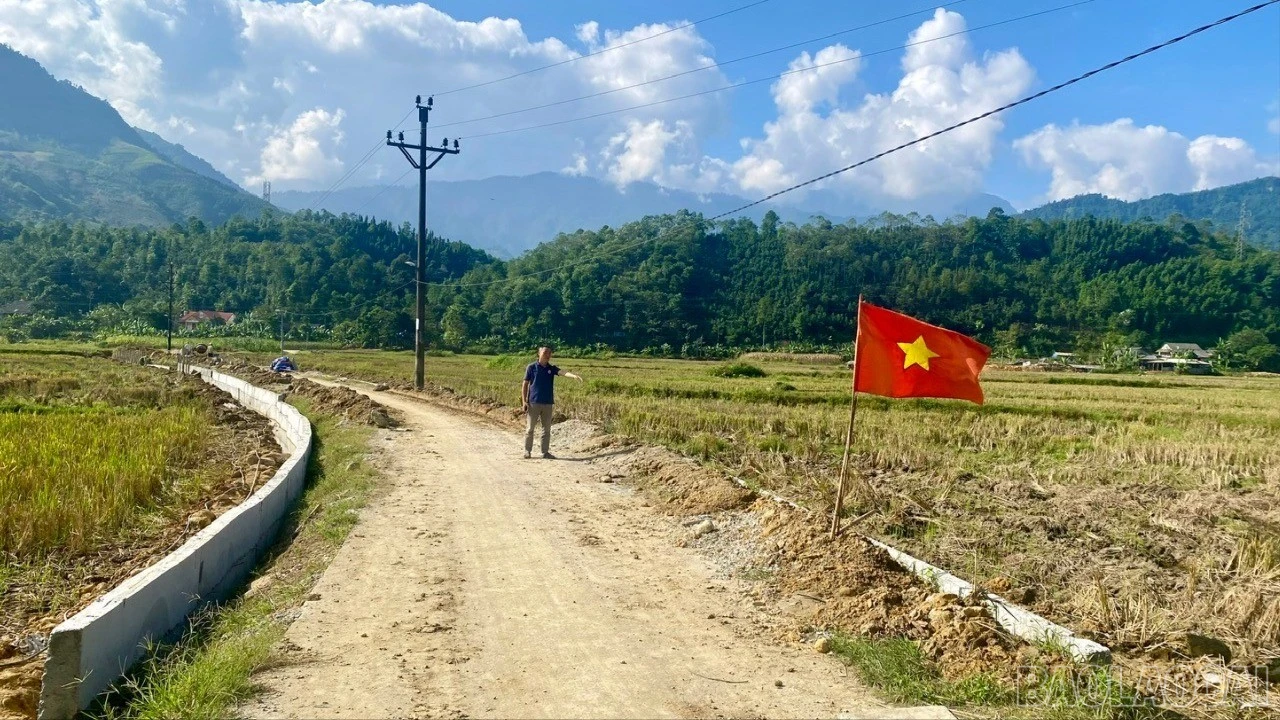 baolaocai-br_z7297349594871-8793178b5e8e6b5b38e53630628ad4ed-1622.jpg