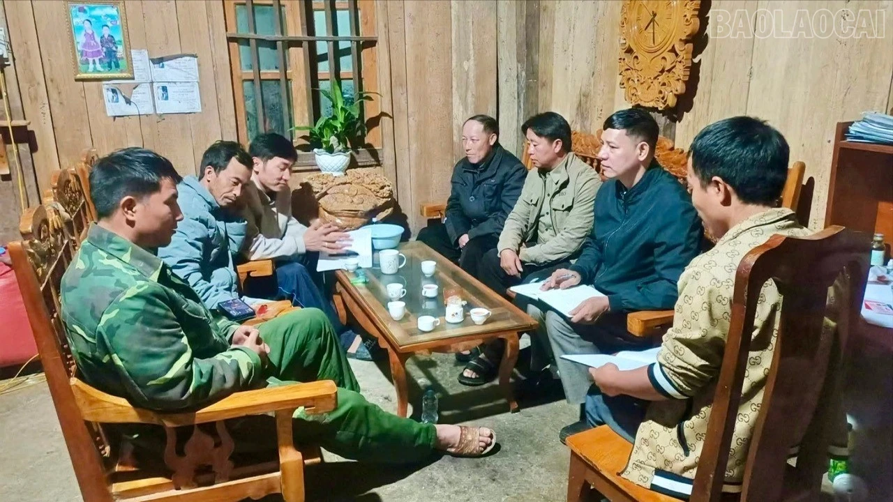 baolaocai-tr_z7356778534641-40500698cfec4c78cd1d5f4542118998-8800.jpg