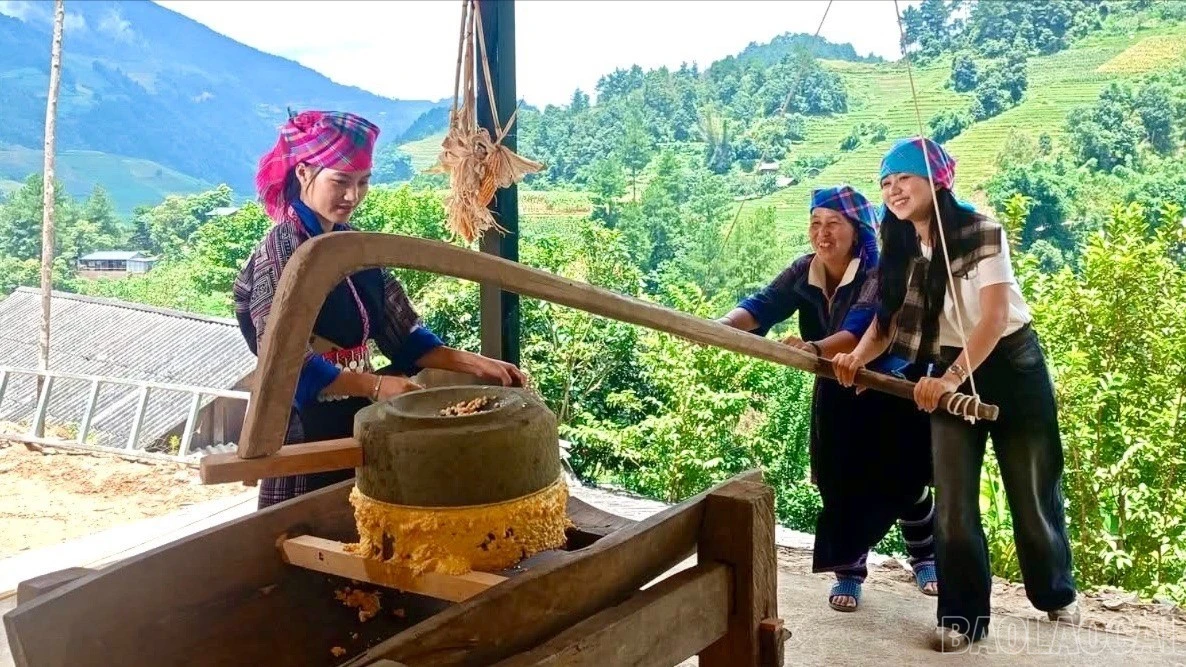 baolaocai-br_z7429604573097-28d7330fe75b2646406077f833328563-copy-9865.jpg