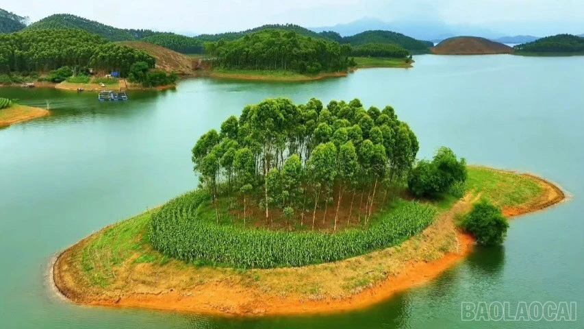 baolaocai-br_1786072214513-1483360936646713779-6588964504697867094-742f8fb5de2e1c9406058c4f85fc2ca1.jpg