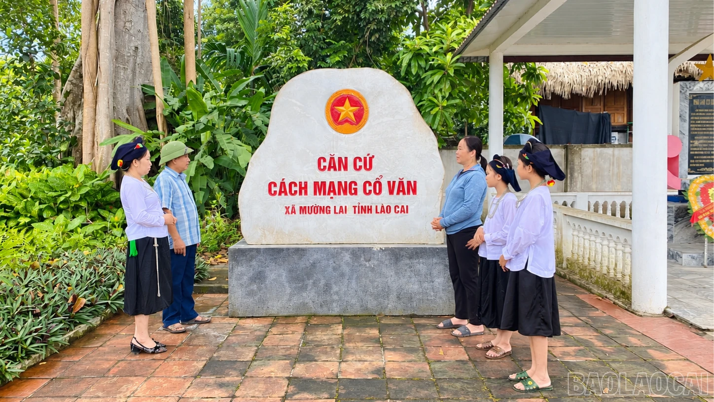 baolaocai-br_ml-5828.png