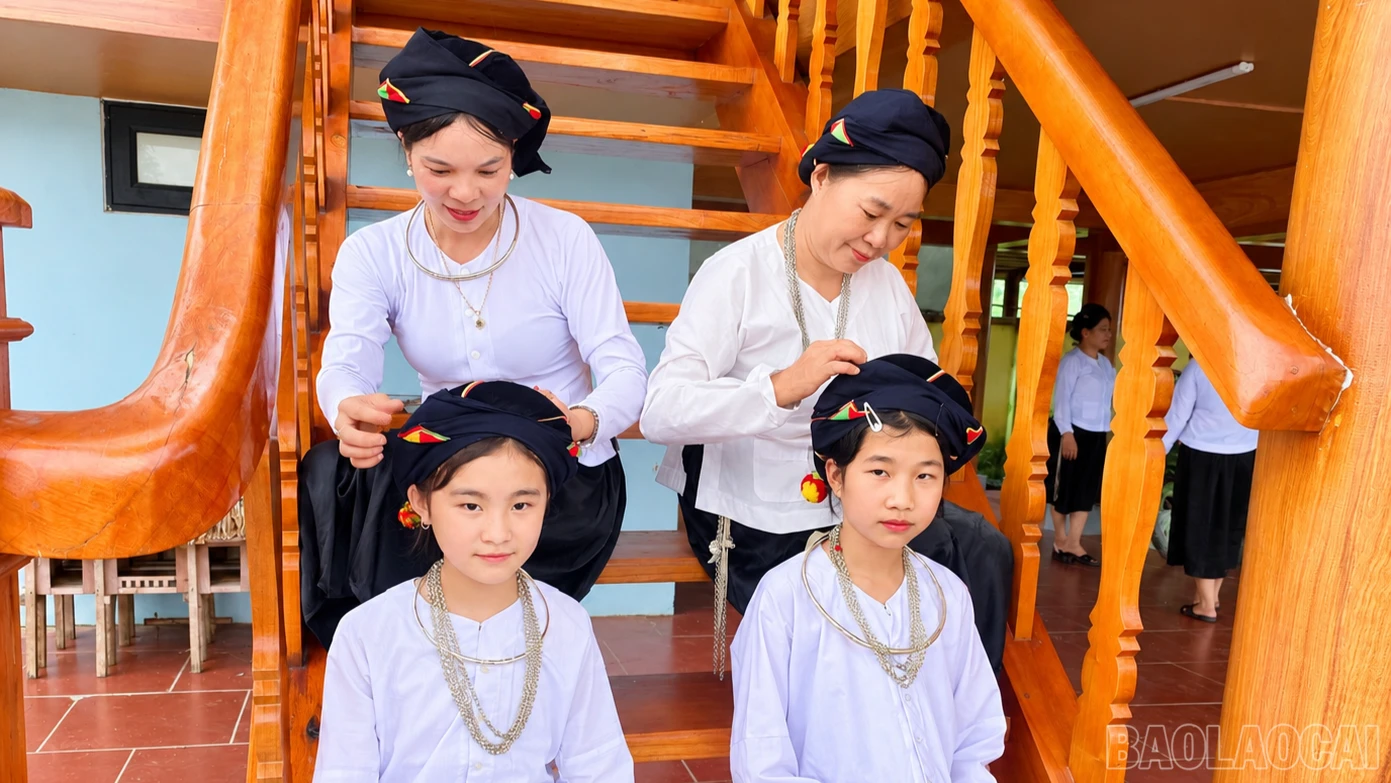 baolaocai-br_br-chatgpt-image-16-26-11-20-thg-9-2026.png