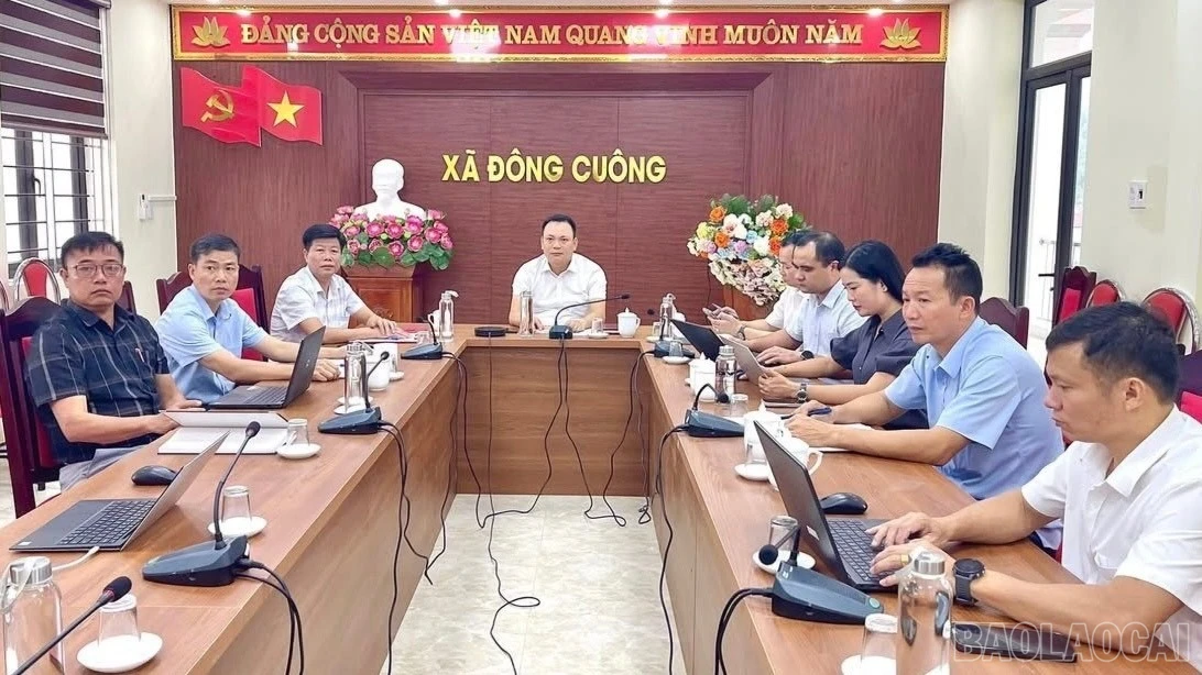 baolaocai-br_image-123650291-75.jpg