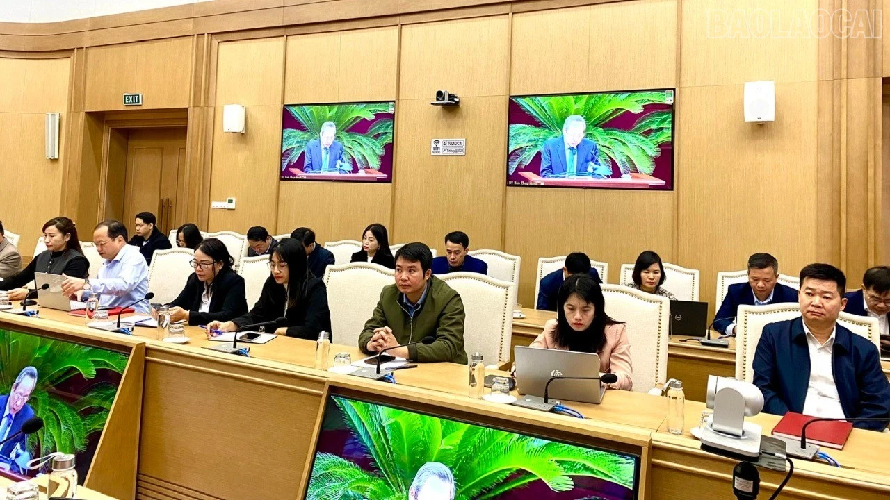 baolaocai-tr_z7304438314418-09c058495ff932a4974d5dff35be0913-7569.jpg