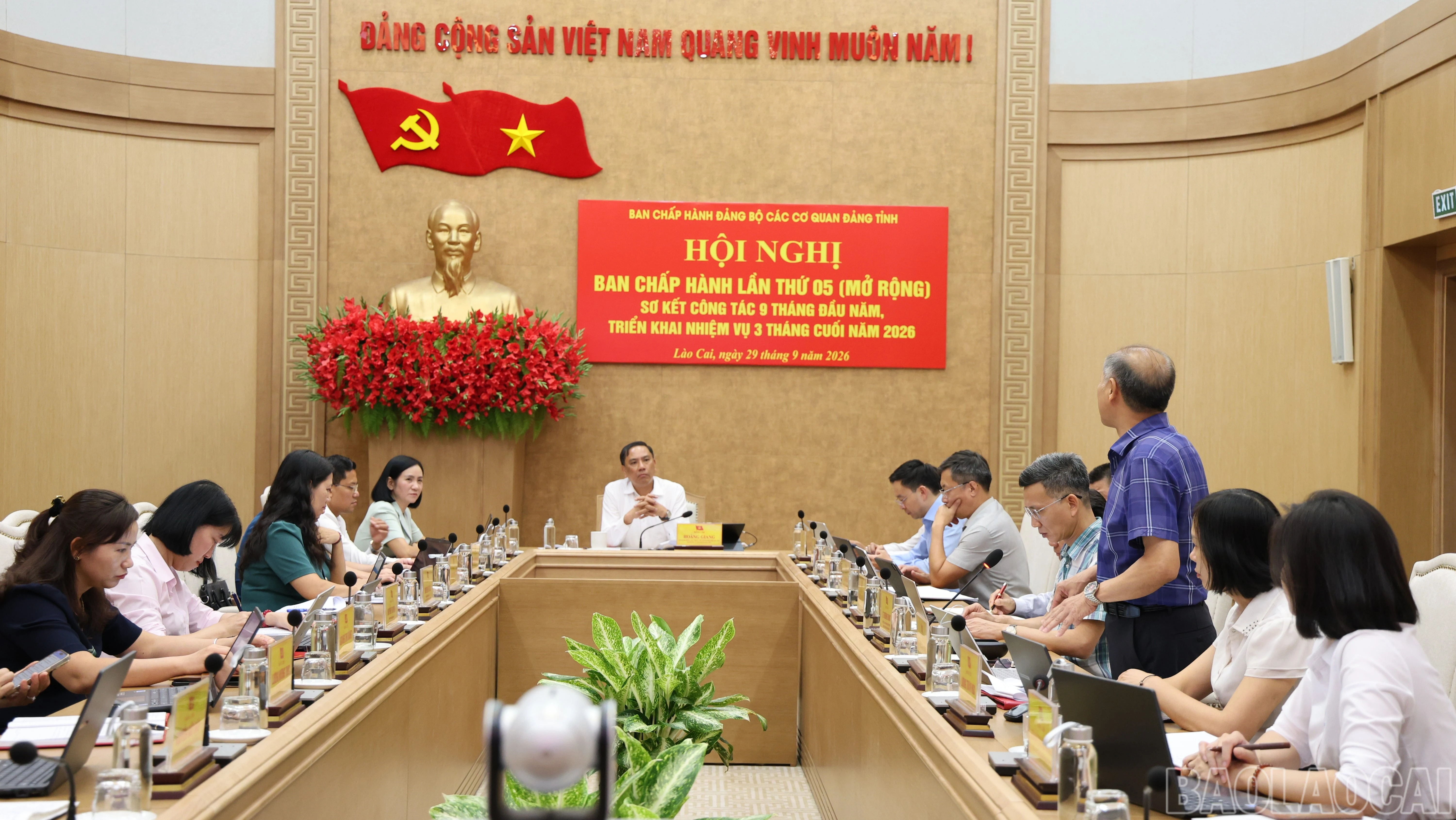 baolaocai-br_img-3254.jpg