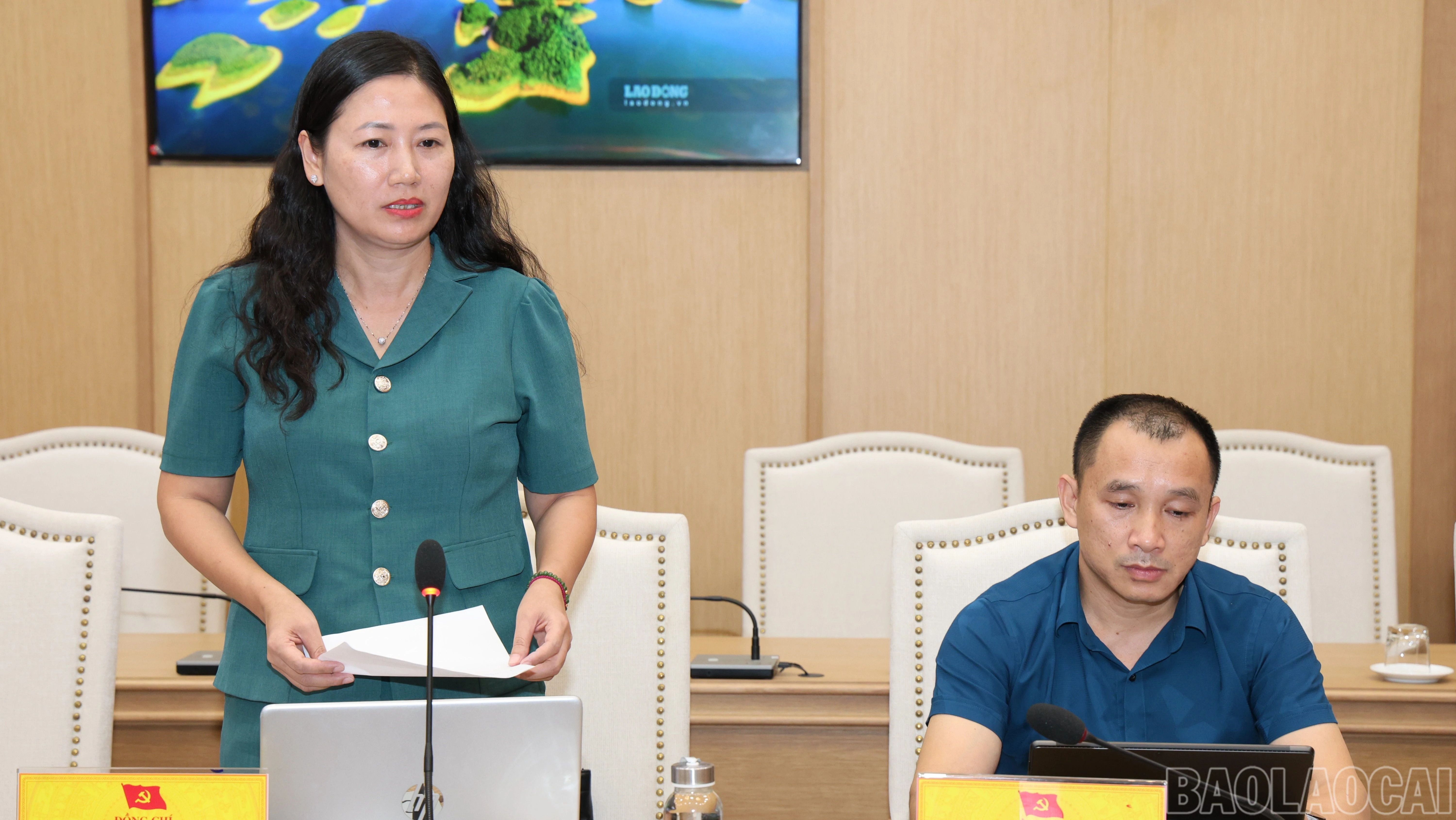 baolaocai-br_img-445.jpg