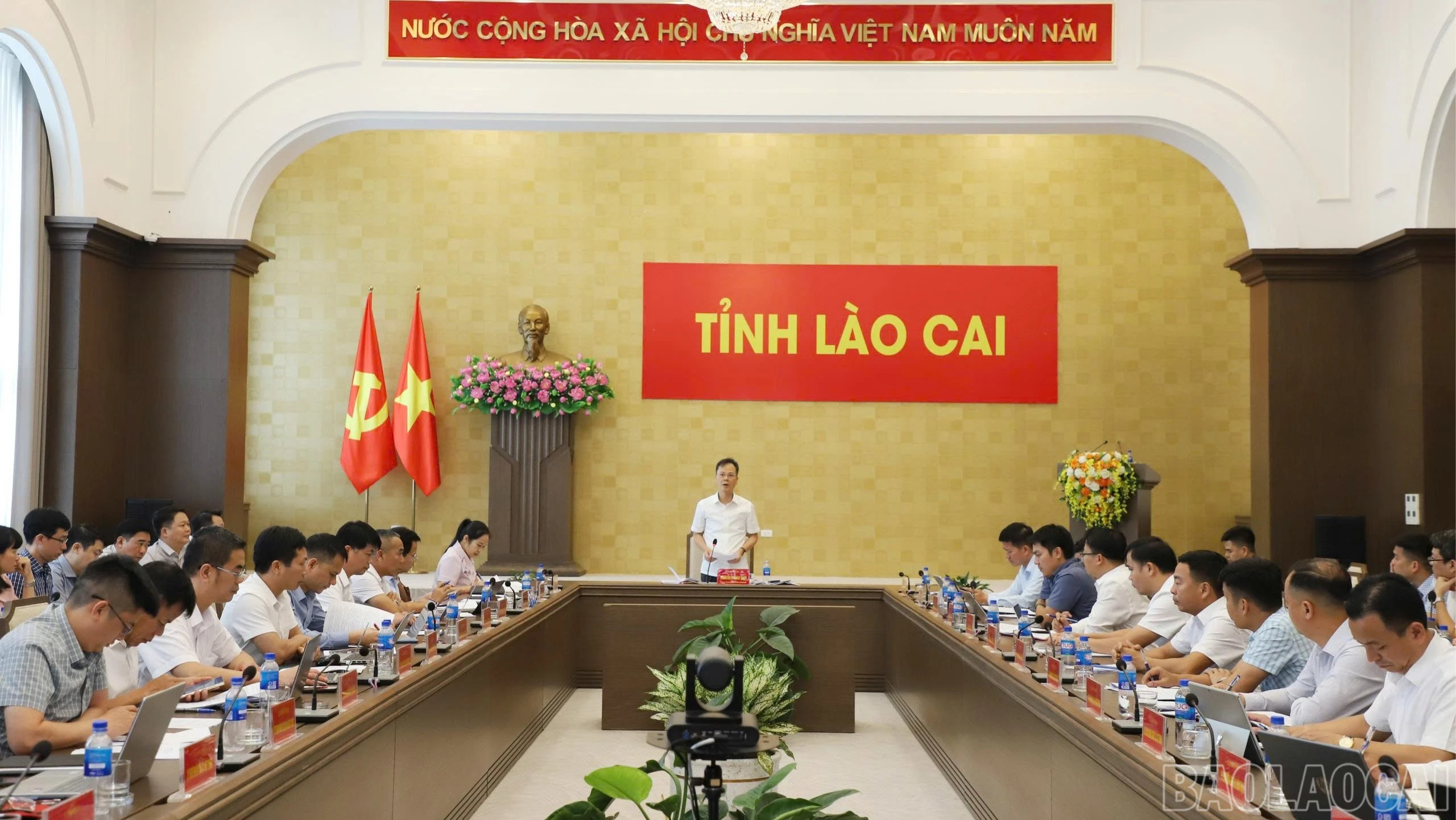 baolaocai-br_70-4224.jpg