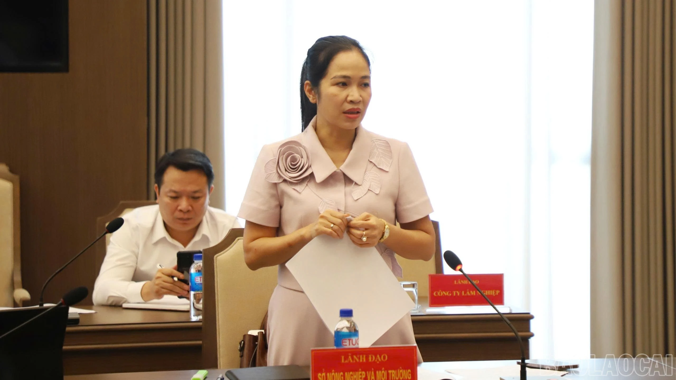 baolaocai-br_81-5022.jpg