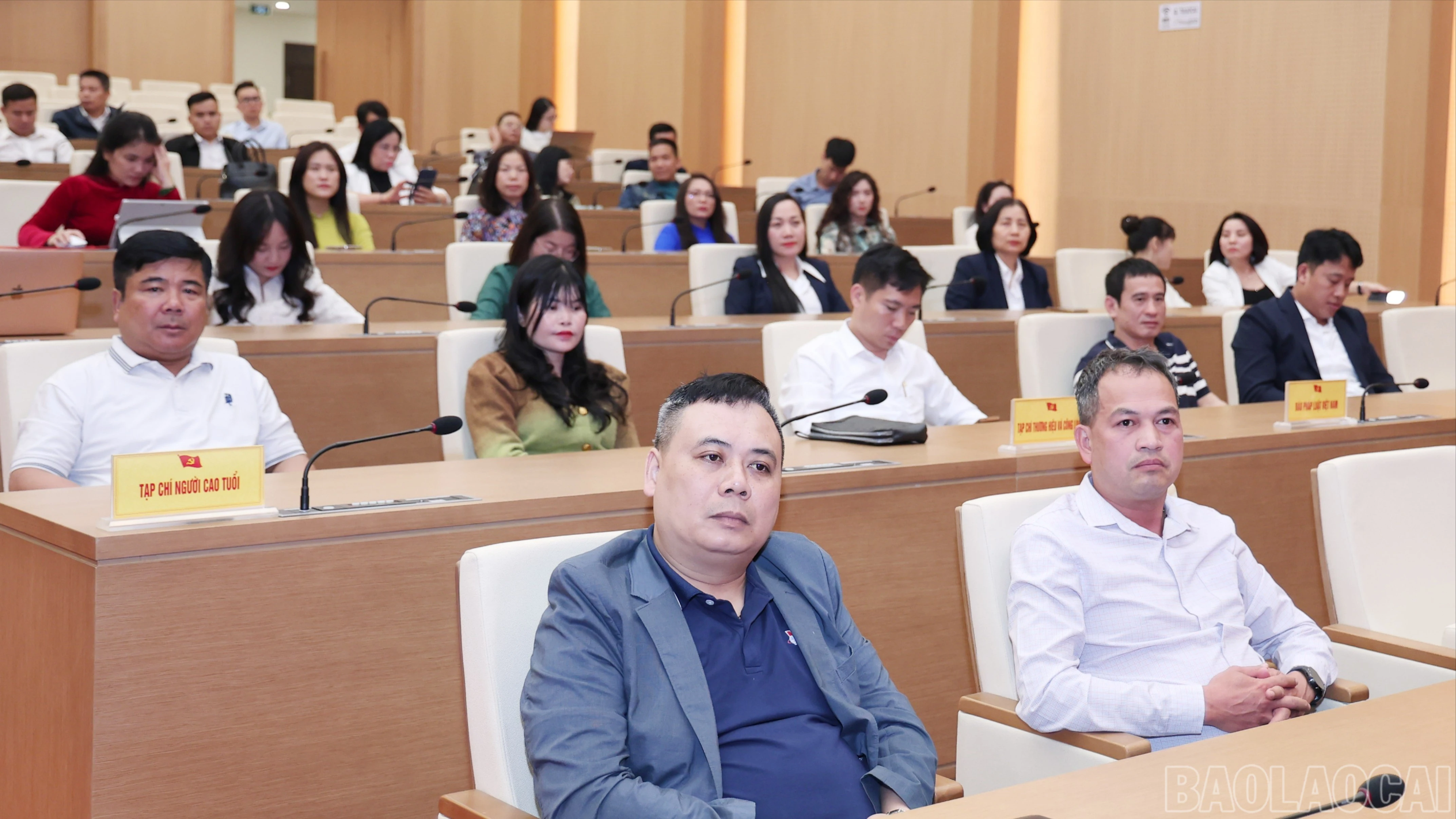 baolaocai-br_img-9802-23.jpg