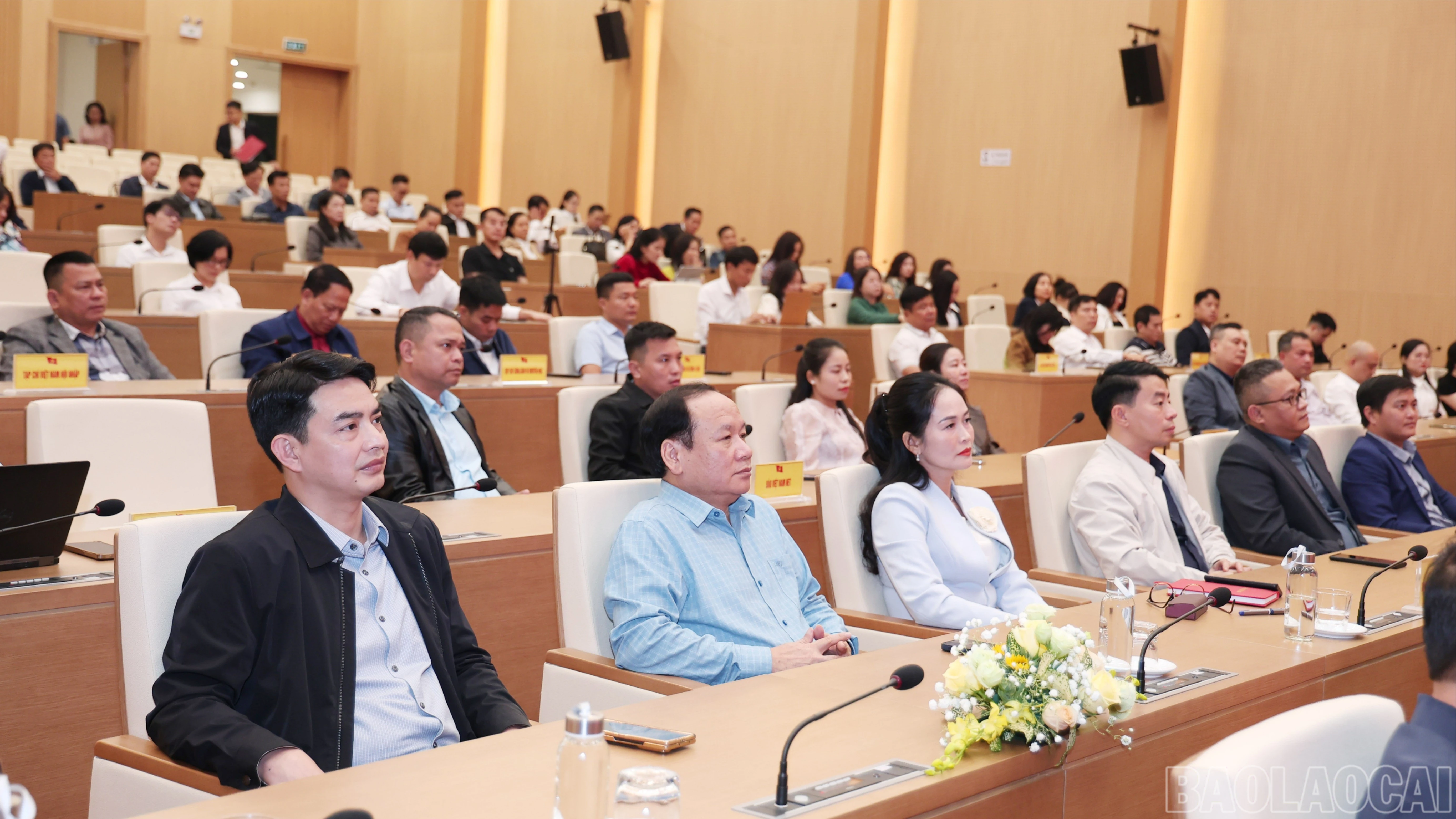 baolaocai-br_img-9738-1-9471.jpg
